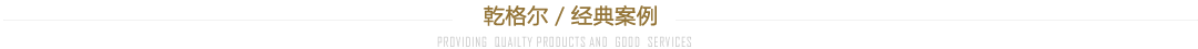 经典案例